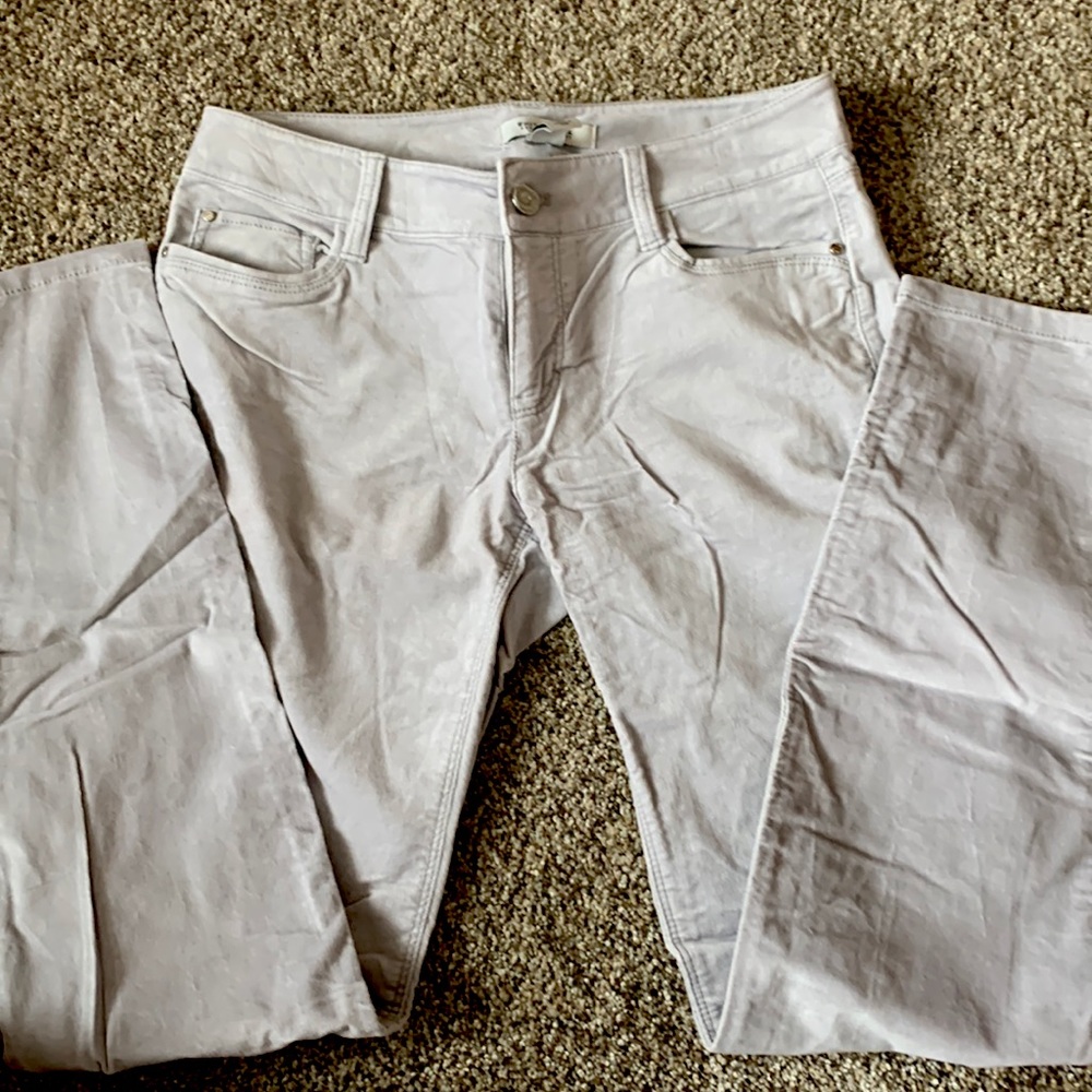 White House Black Market light gray velvet pants